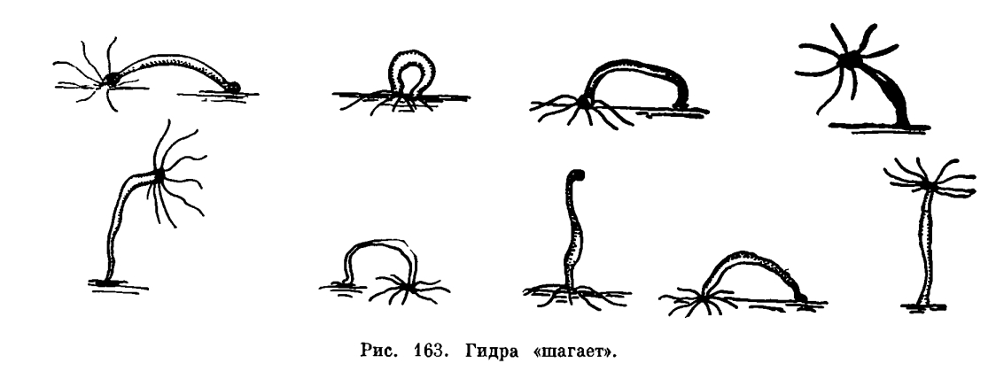 Кракен даркнет ссылка